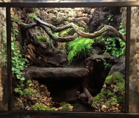 crested gecko tank size