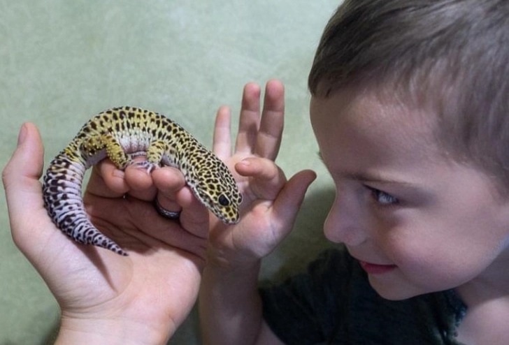 are leopard geckos good pets