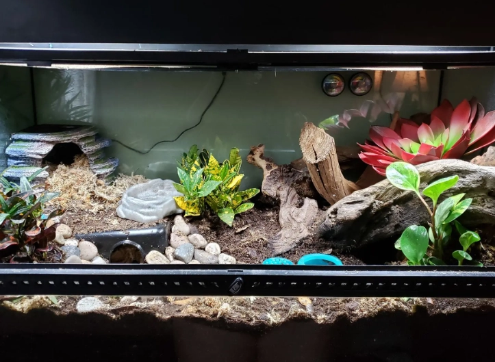 gecko enclosure dimensions gecko enclosure dimensions