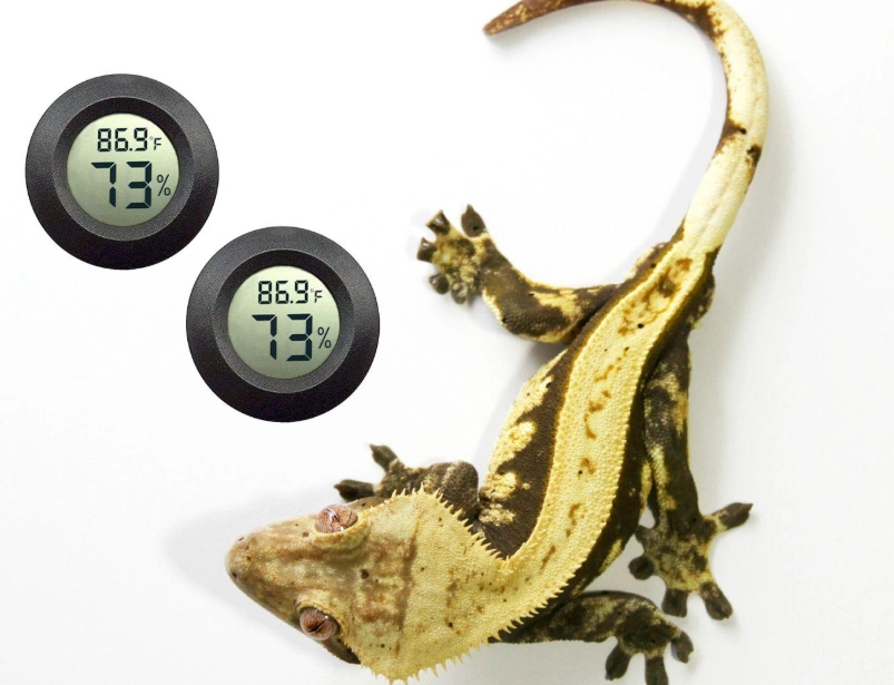 crested gecko temperature range