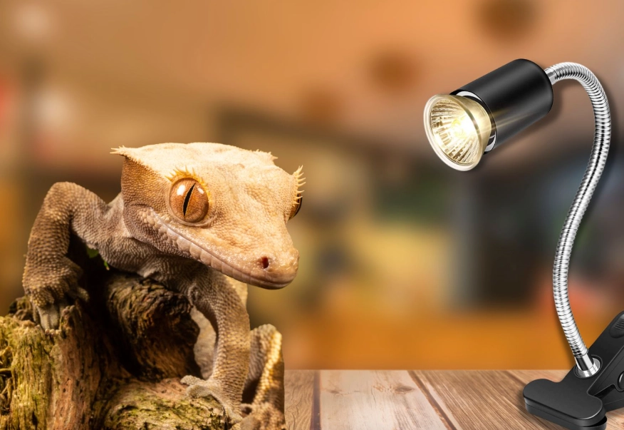 leopard gecko heating